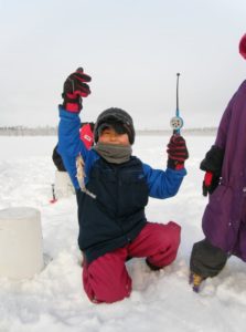 Lapland Activities